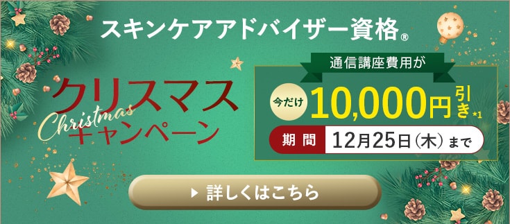 年末特別キャンペーン