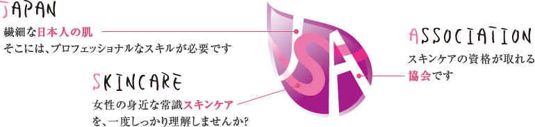 日本スキンケア協会の概念図