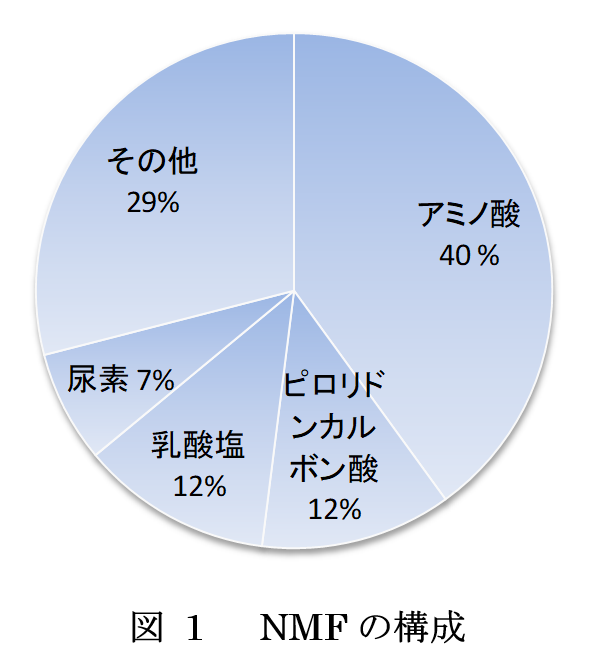 天然保湿成分NMFの構成図