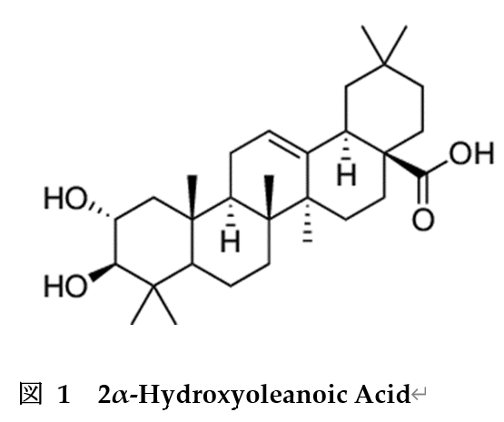 ヒドロキシオレアノール酸の構図