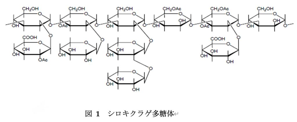 シロキクラゲ多糖体の構成図